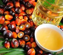 PTPN III's Cooking Oil Factory Operates in May 2018